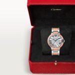 Ballon Bleu de Cartier watch W2BB0034 - 图片 9