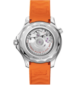 Seamaster Diver 300M 42 mm 210.32.42.20.01.006 - 图片 2